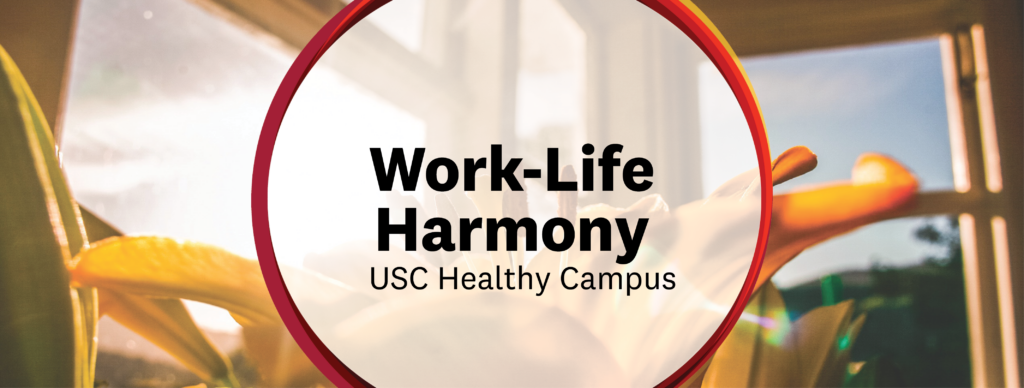 Work-Life Harmony Banner